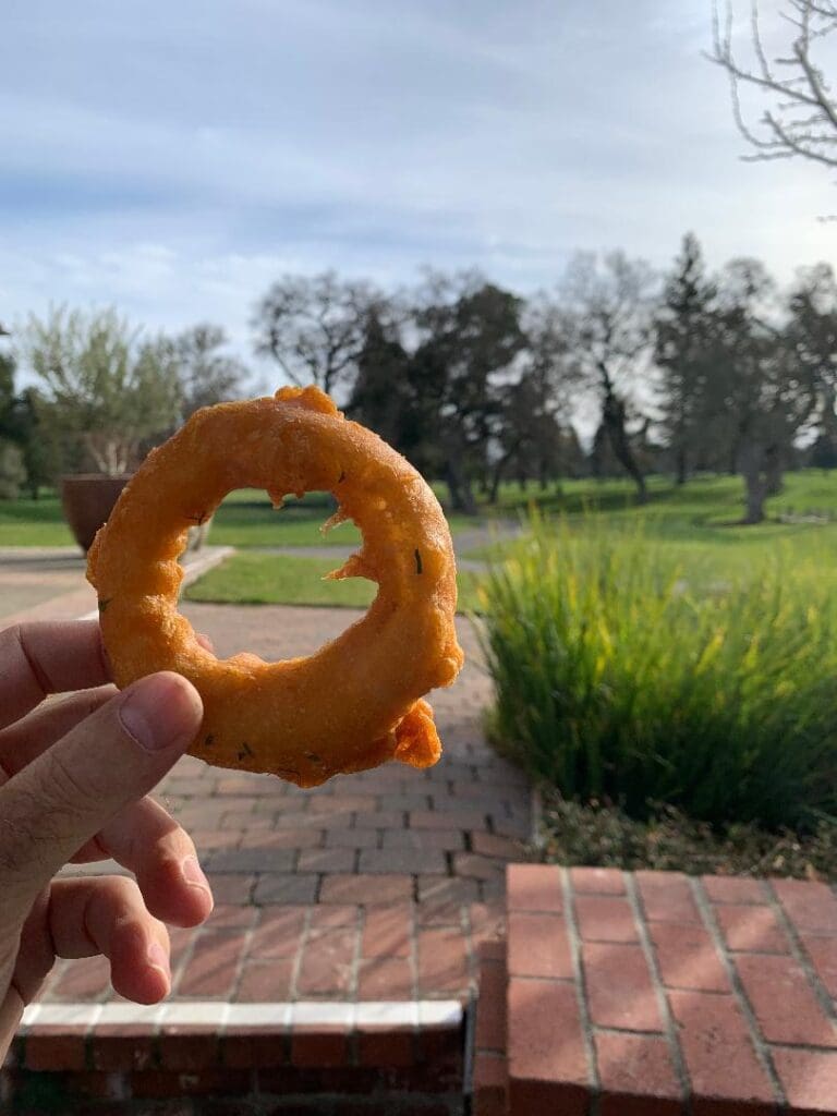 A hand holding an onion ring